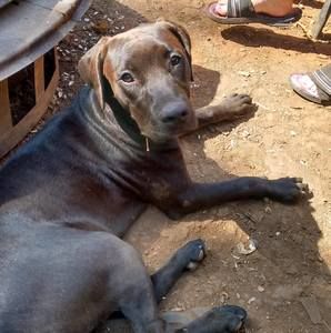 Meet your Posher, Kerry